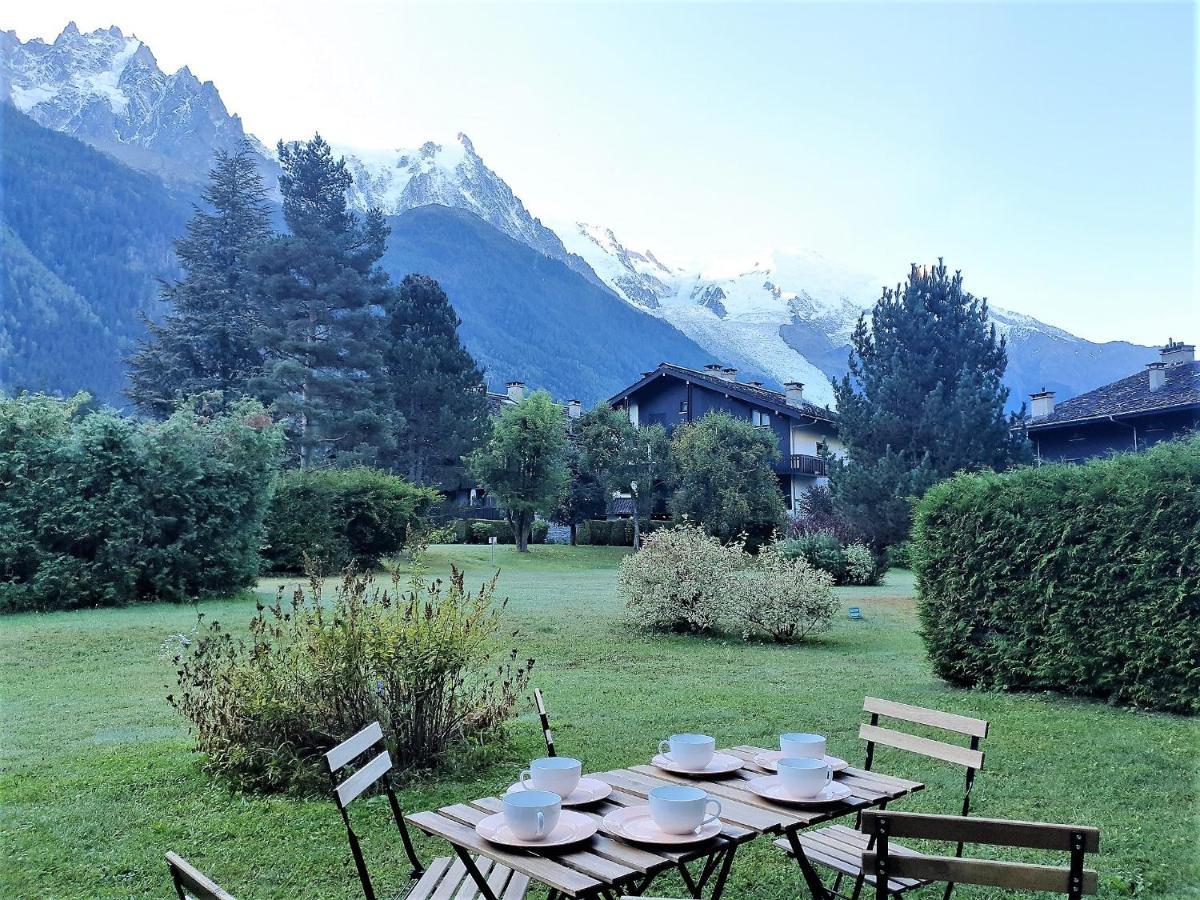 Chamonix Appartement Vue Mont Blanc Avec Jardin Buitenkant foto