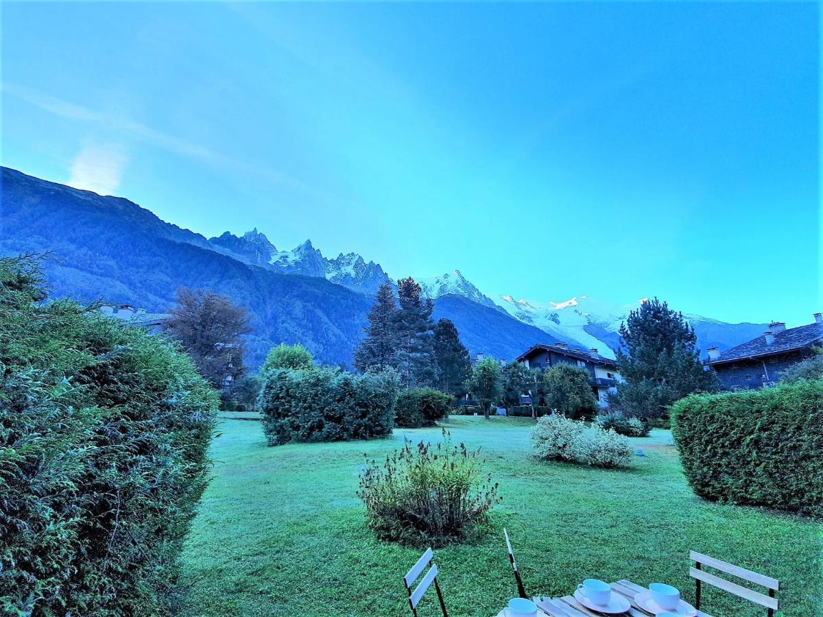 Chamonix Appartement Vue Mont Blanc Avec Jardin Buitenkant foto