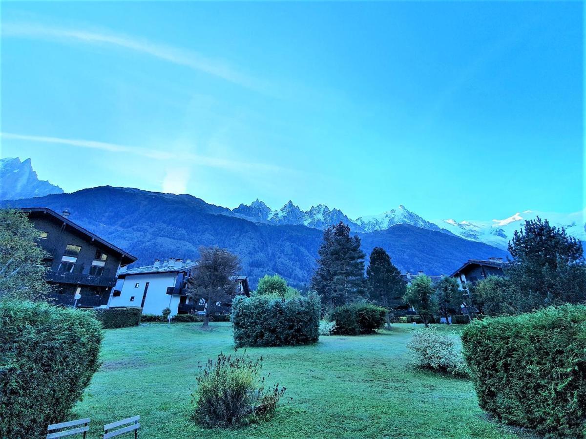 Chamonix Appartement Vue Mont Blanc Avec Jardin Buitenkant foto